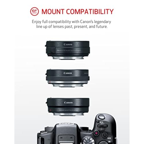 Variant image 6 of Canon EOS R10