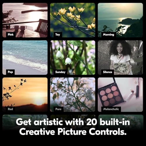 Variant image 9 of Nikon Z30