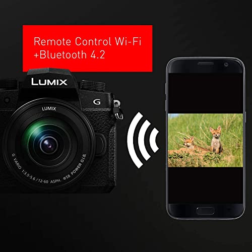 Variant image 9 of Panasonic Lumix G95