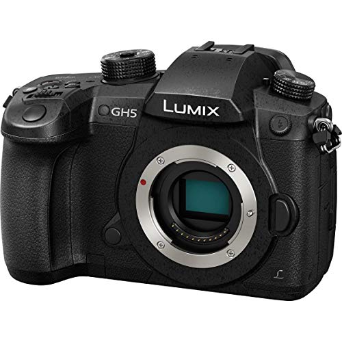 Variant image 0 of Panasonic Lumix GH5