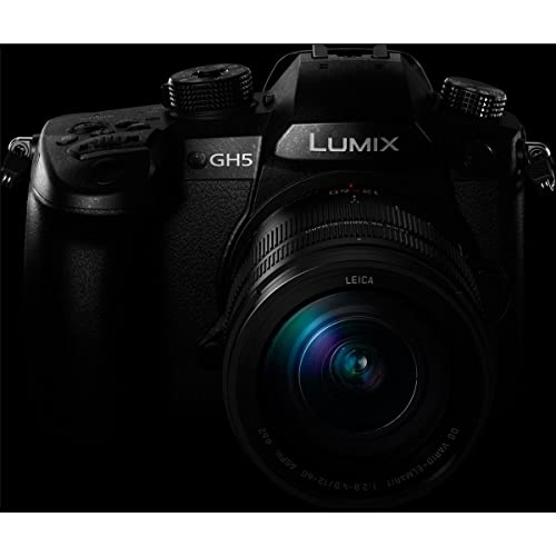 Variant image 5 of Panasonic Lumix GH5