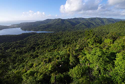 Variant image 7 of Pentax K-1