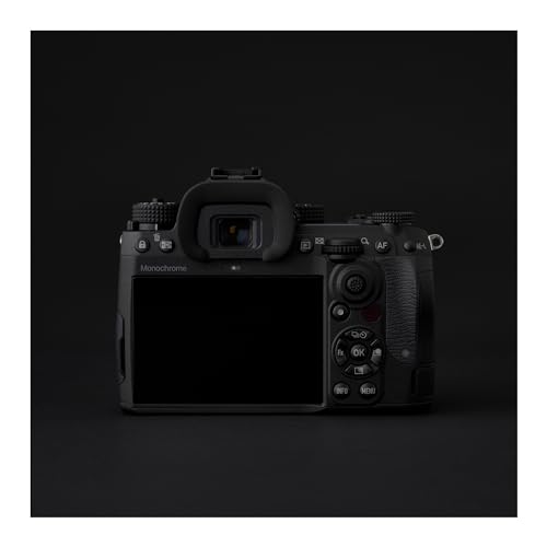 Variant image 6 of Pentax K-3 Mark III Monochrome