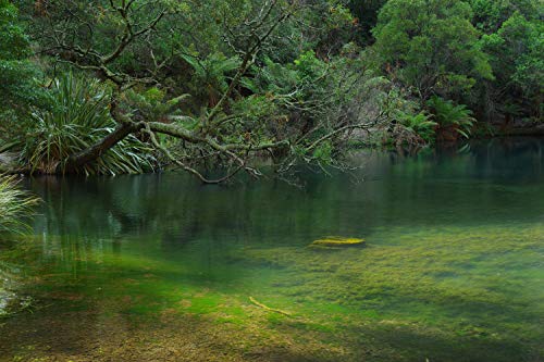 Variant image 6 of Pentax K-70