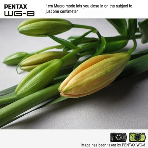 Variant image 6 of Pentax WG-8