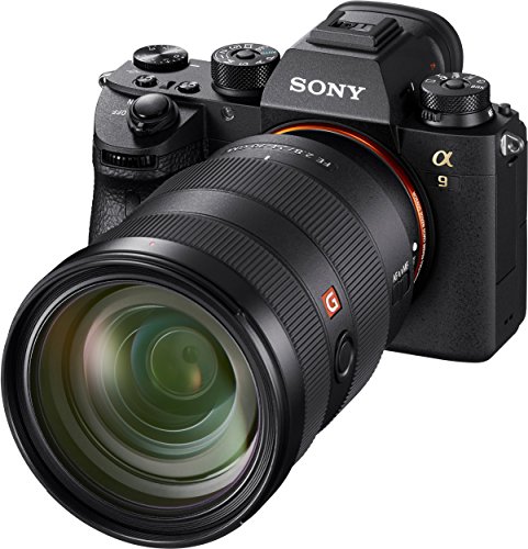 Variant image 8 of Sony a9