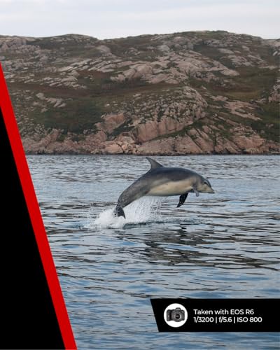 Variant image 8 of Canon RF 70-200 F4L IS USM