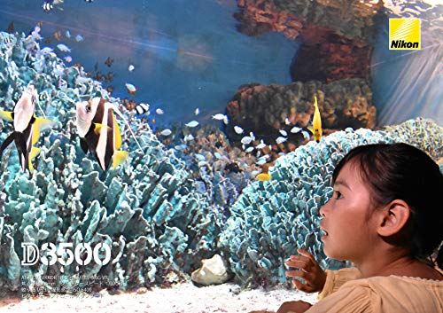 Variant image 0 of Nikon AF-P DX Nikkor 18-55mm F3.5-5.6G VR