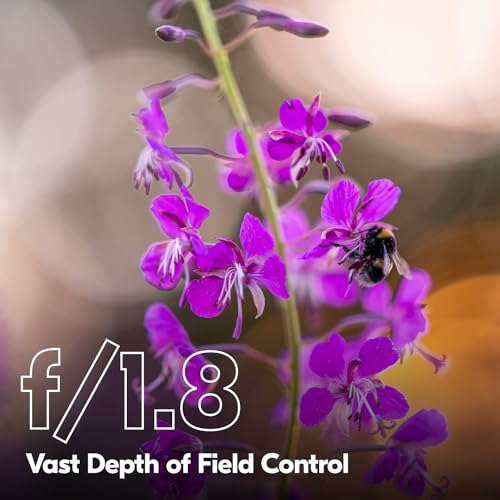 Variant image 6 of Nikon Nikkor Z 135mm F1.8 S Plena