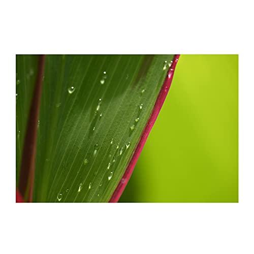 Variant image 6 of Nikon Nikkor Z DX 18-140mm F3.5-6.3 VR