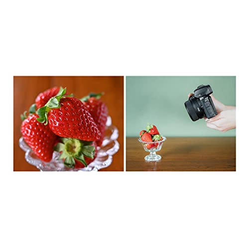 Variant image 6 of Nikon Nikkor Z DX 24mm F1.7