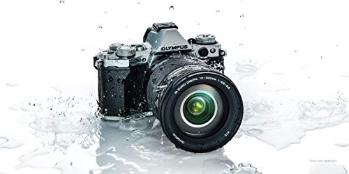 Variant image 0 of Olympus M.Zuiko Digital ED 12-200mm F3.5-6.3