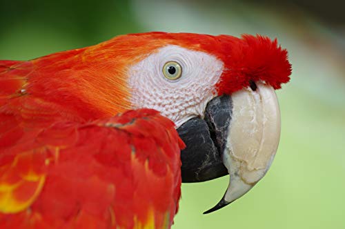 Variant image 6 of Pentax HD-D FA 150-450mm F4.5-5.6 DC AW