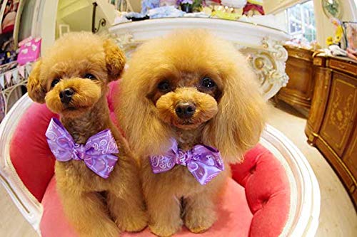 Variant image 6 of Pentax HD DA Fisheye 10-17mm F3.5-4.5 ED