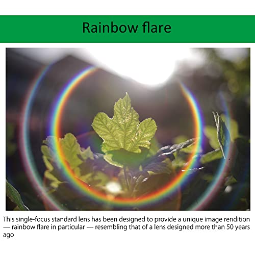 Variant image 5 of Pentax SMC Pentax-FA 50mm F1.4 Classic