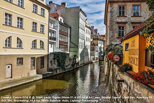 Variant image 3 of Sigma 24mm F1.4 DG HSM Art