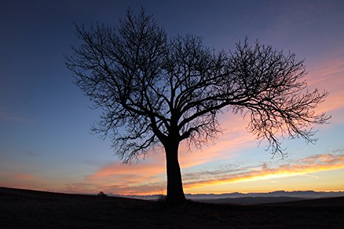 Variant image 8 of Tamron 10-24mm F3.5-4.5 Di II VC HLD