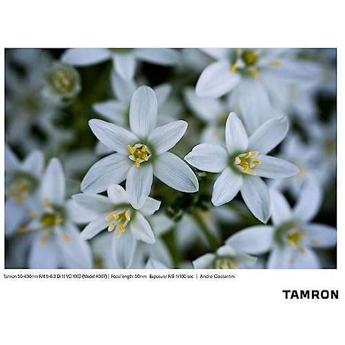 Variant image 10 of Tamron 50-400mm F4.5-6.3 Di III VC VXD