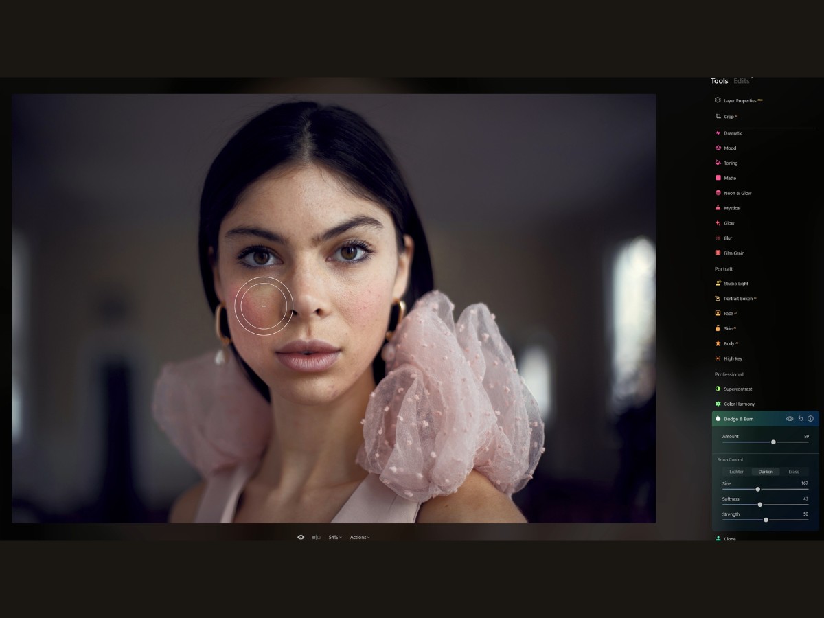 Luminar Neo dodge & burn tool.