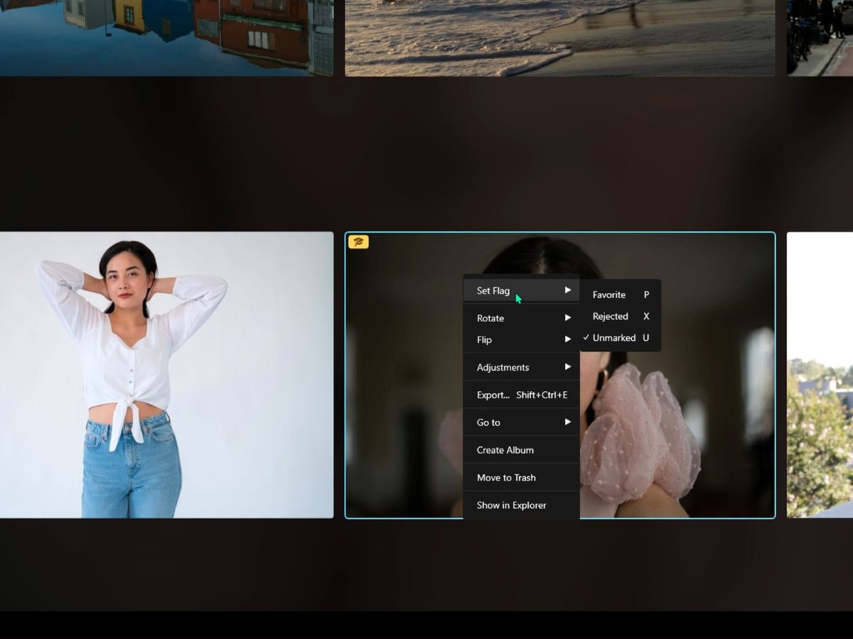 Luminar Neo image options.